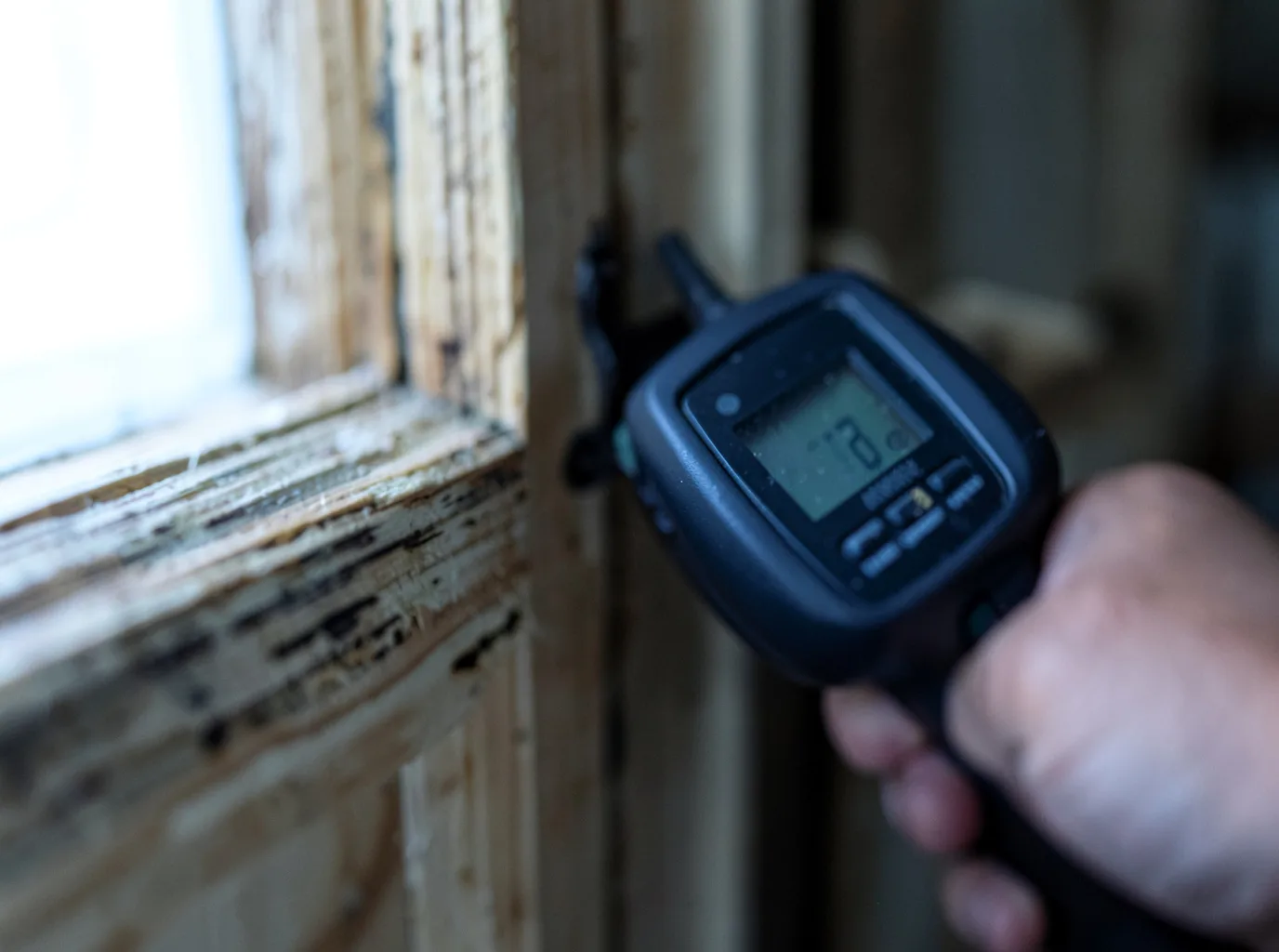 Moisture Inspection And Documentation in Gilby, ND
